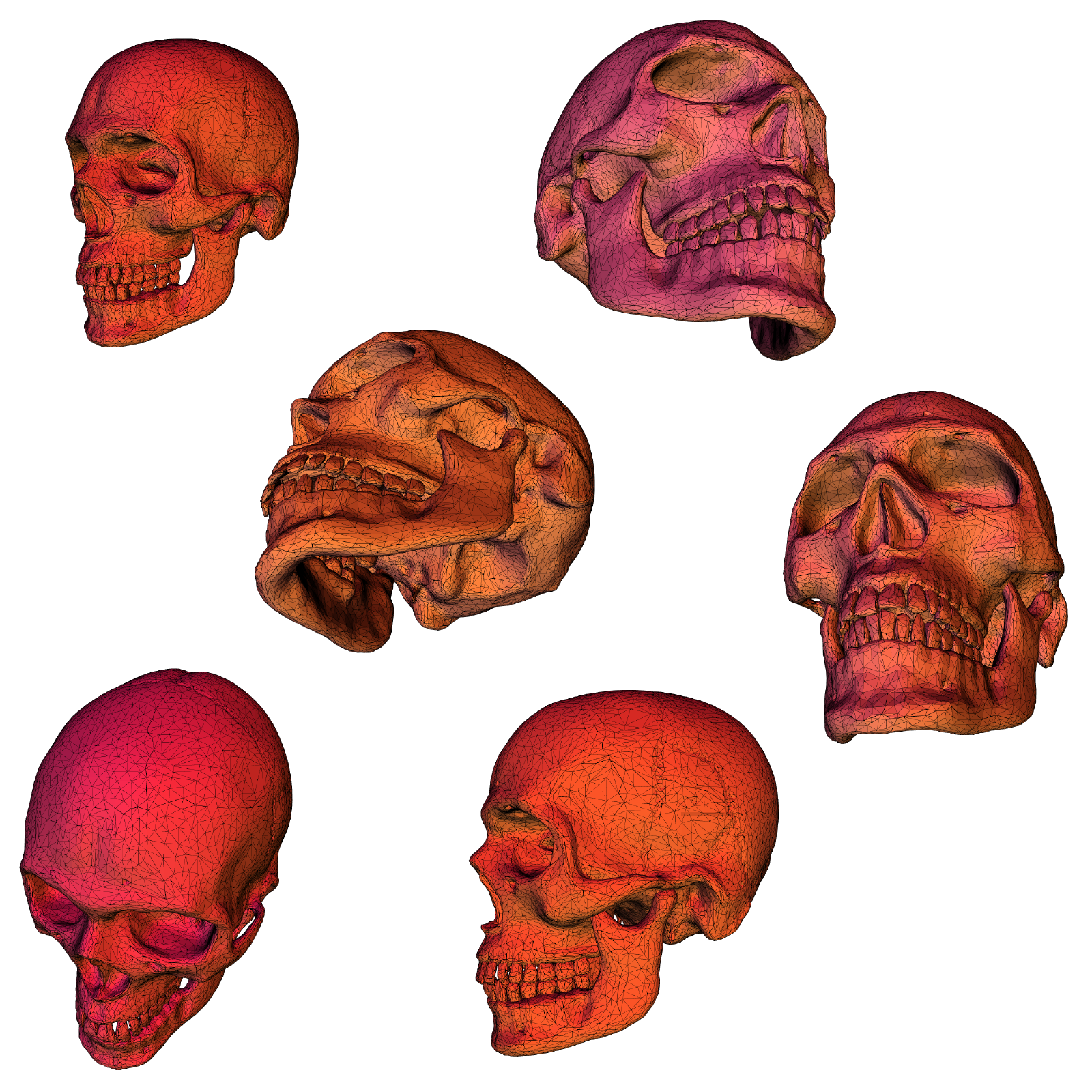 Here are some example 3d models you can find on the Practice Drawing This website